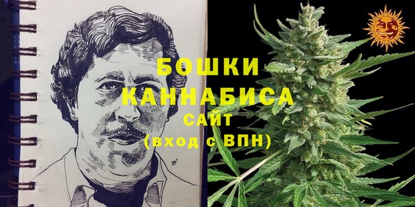 шишки Абинск