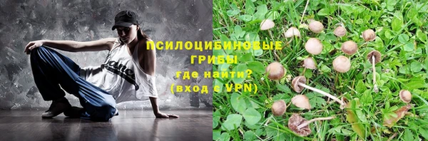 ГАЛЛЮЦИНОГЕННЫЕ ГРИБЫ Абаза